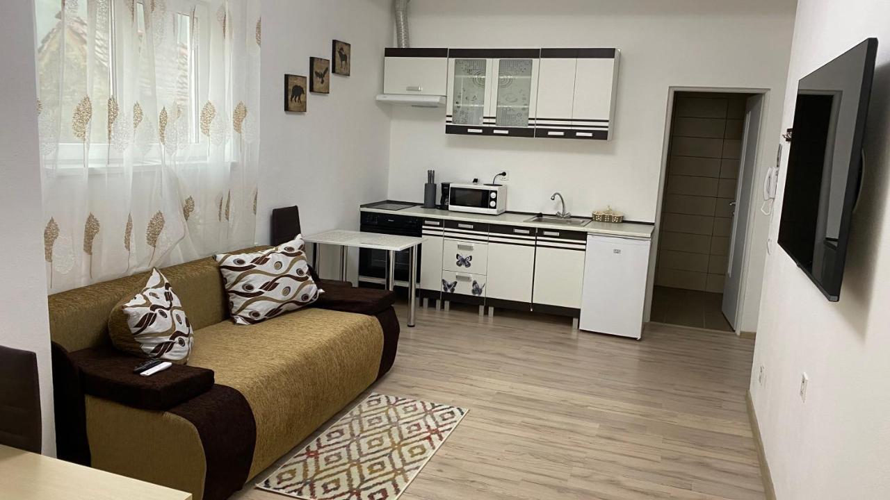 Centralhome Ap1 Sighişoara Extérieur photo